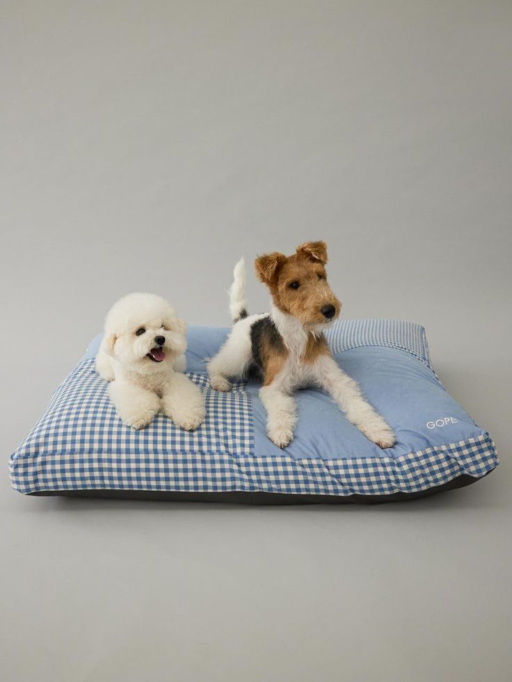 Dog Sleeping Beds