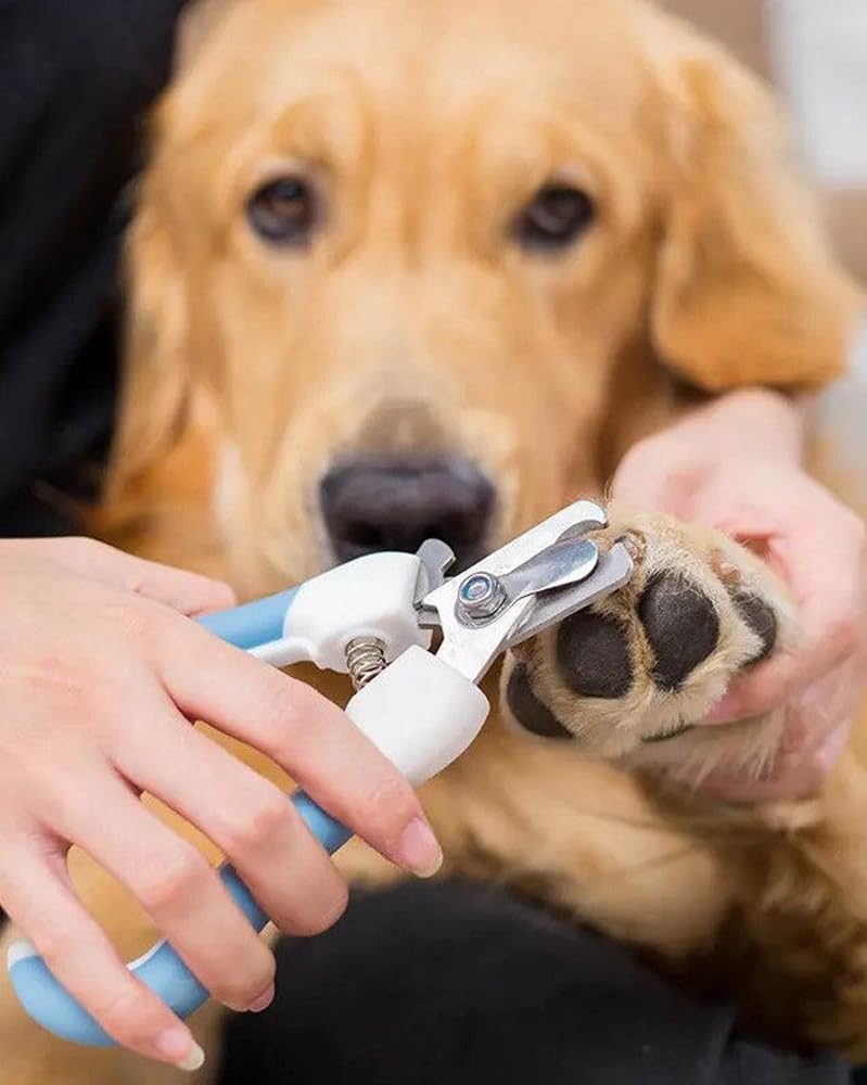 Pet Nail Clippers